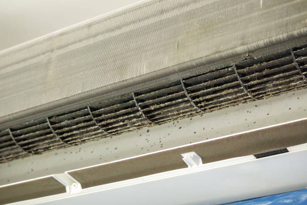 Best Duct Cleaning for Offices  in Stuart, FL